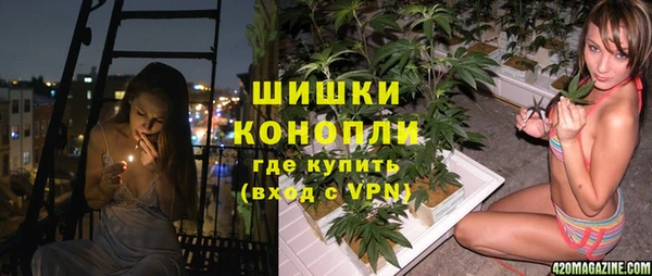 крисы Белоозёрский